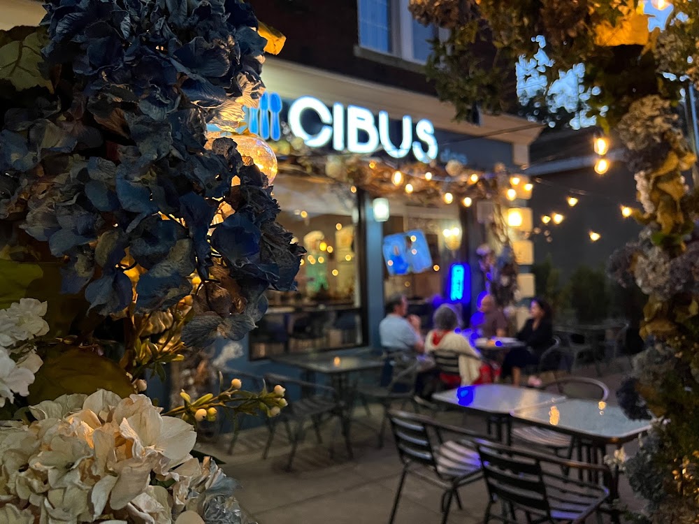 Cibus Latin Fusion